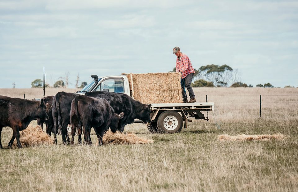 On the farm